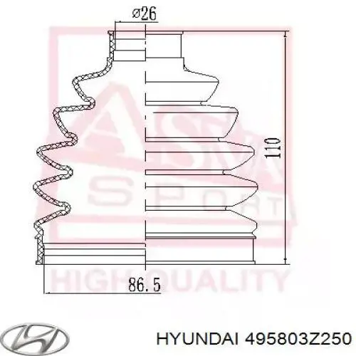  495803Z250 Hyundai/Kia