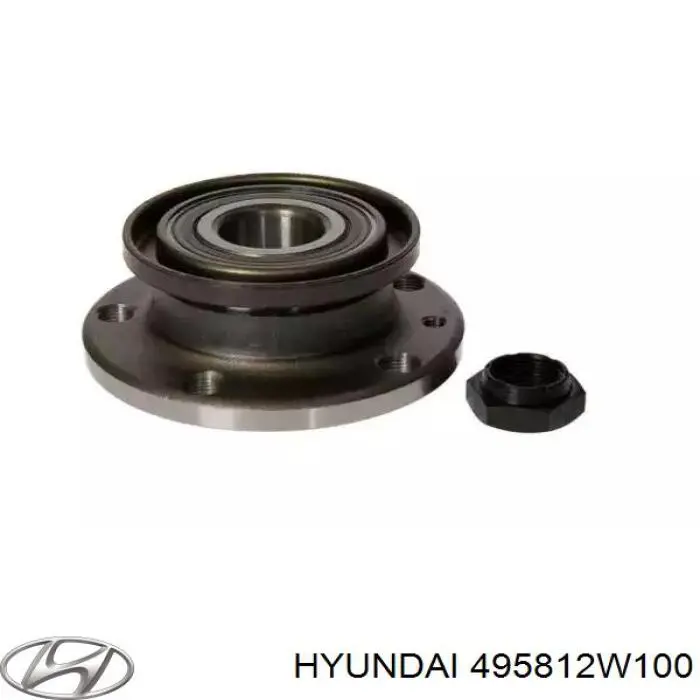 495812W100 Hyundai/Kia 