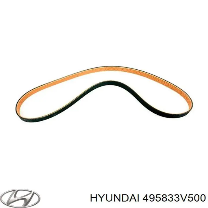 495833V500 Hyundai/Kia 