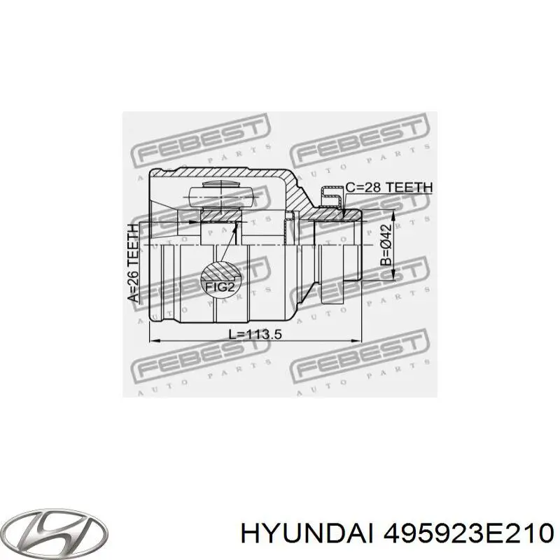 Купити 495923E210 Hyundai/Kia ШРУС внутрішній правий