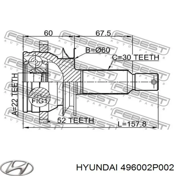 ШРУС зовнішній задній HYUNDAI 496002P002