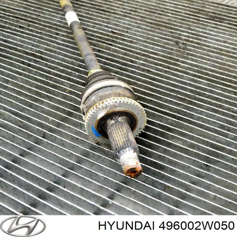  496002W050 Hyundai/Kia