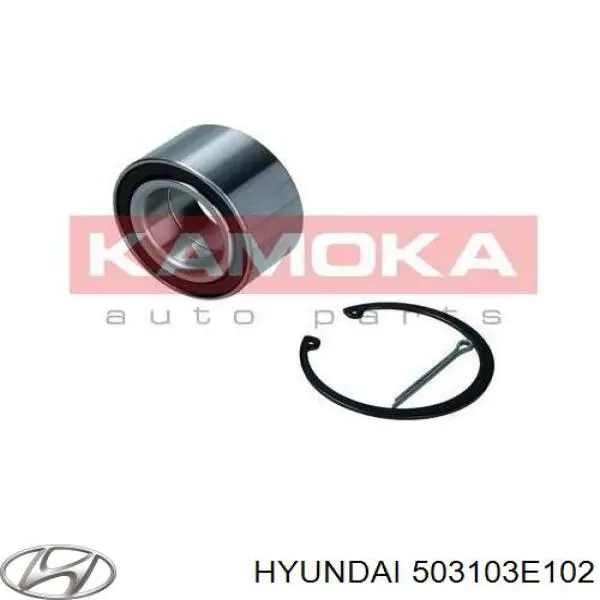 Комплект підшипник маточини передньої Hyundai/Kia 503103E102 ціна, від 20.07 USD