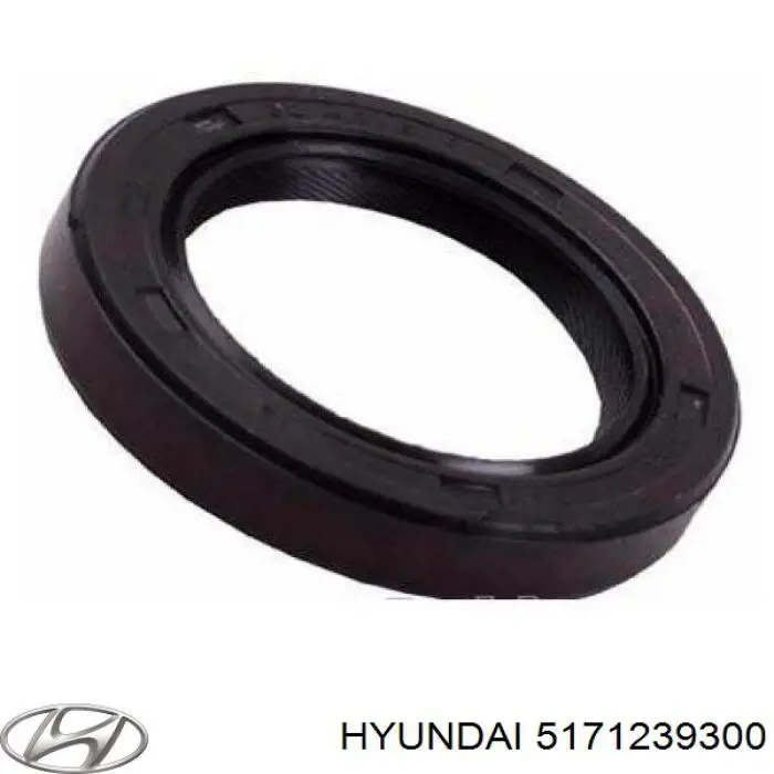 5171239300 Hyundai/Kia Гальмо дискове переднє