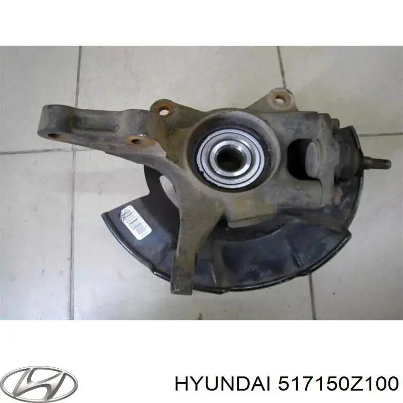 Цапфа - поворотний кулак передній, лівий SKV 47SKV721 ціна, від 46.05 USD