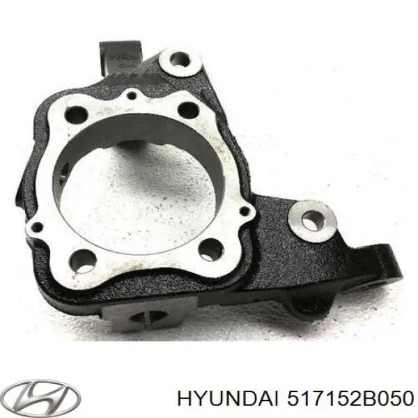 Цапфа поворотна ліва Hyundai/Kia 517152B050 ціна, від 52.56 USD