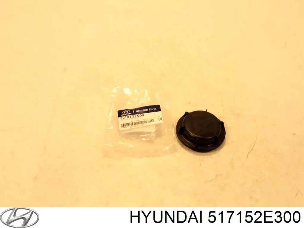 Цапфа поворотного кулака Hyundai/Kia 517152E300 ціна, від 107.66 USD