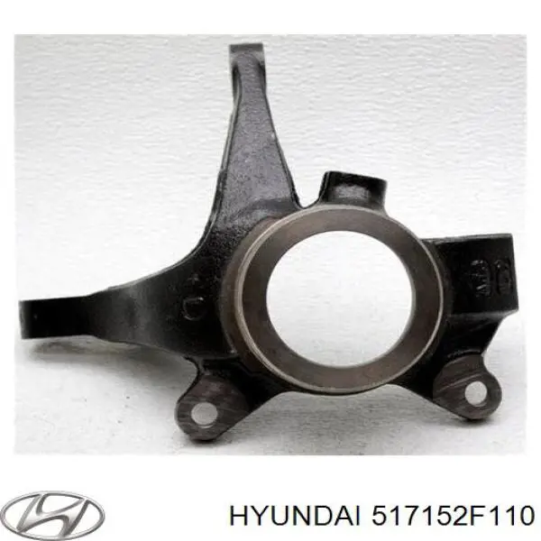 Цапфа поворотного кулака Hyundai/Kia 517152F110 ціна, від 122.22 USD