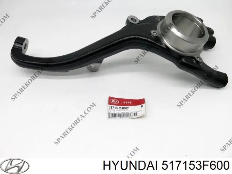 Цапфа поворотна ліва Hyundai/Kia 517153F600 ціна, від  USD
