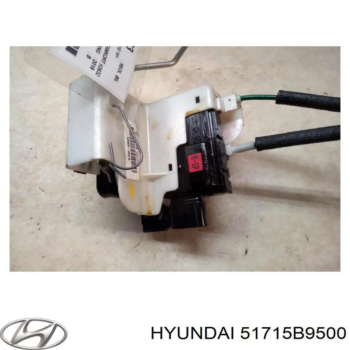 51715B9500 Hyundai/Kia Цапфа передня ліва