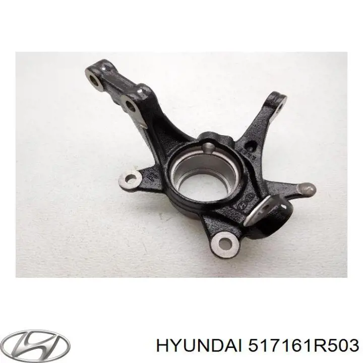 Цапфа - поворотний кулак передній, правий Hyundai/Kia 517161R503 ціна, від 74.59 USD