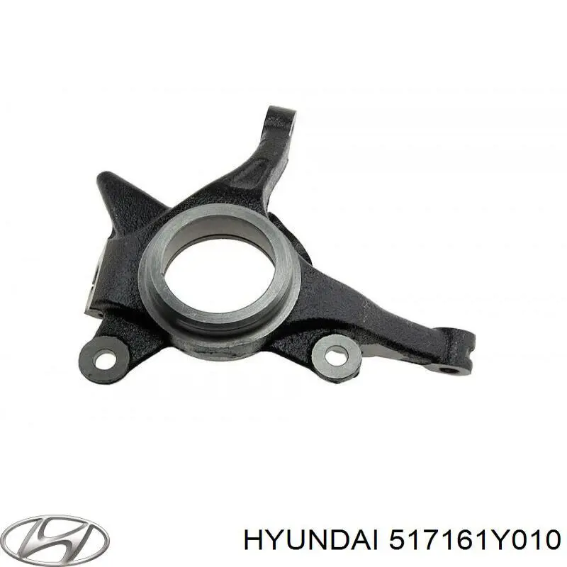 Цапфа передні праві NTY ZZPKA001 ціна, від 43.42 USD