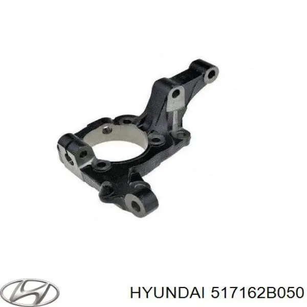 Цапфа поворотна права Hyundai/Kia 517162B050 ціна, від 53.99 USD