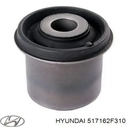 Купити 517162F310 Hyundai/Kia Цапфа передні праві