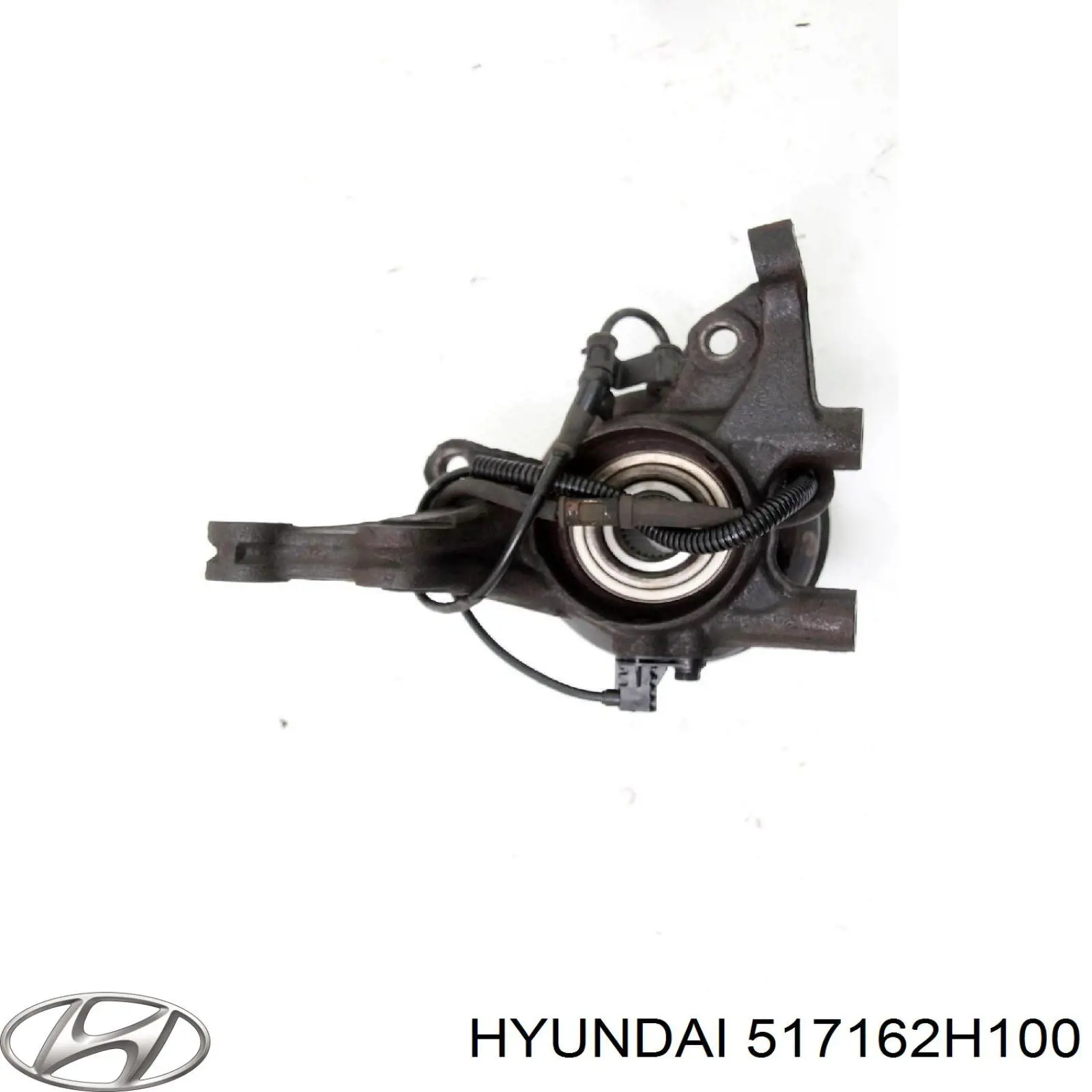 Купити 517162H100 Hyundai/Kia Цапфа передні праві