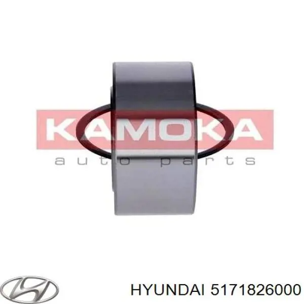 5171838010 Hyundai/Kia Кільце стопорне підшипника передньої маточини