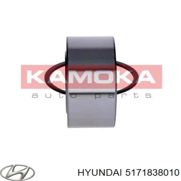 Кільце стопорне підшипника передньої маточини 5171838010 Hyundai/Kia