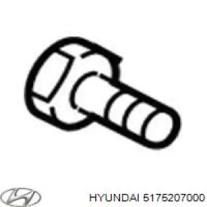 Болт маточини 5175207000 Hyundai/Kia
