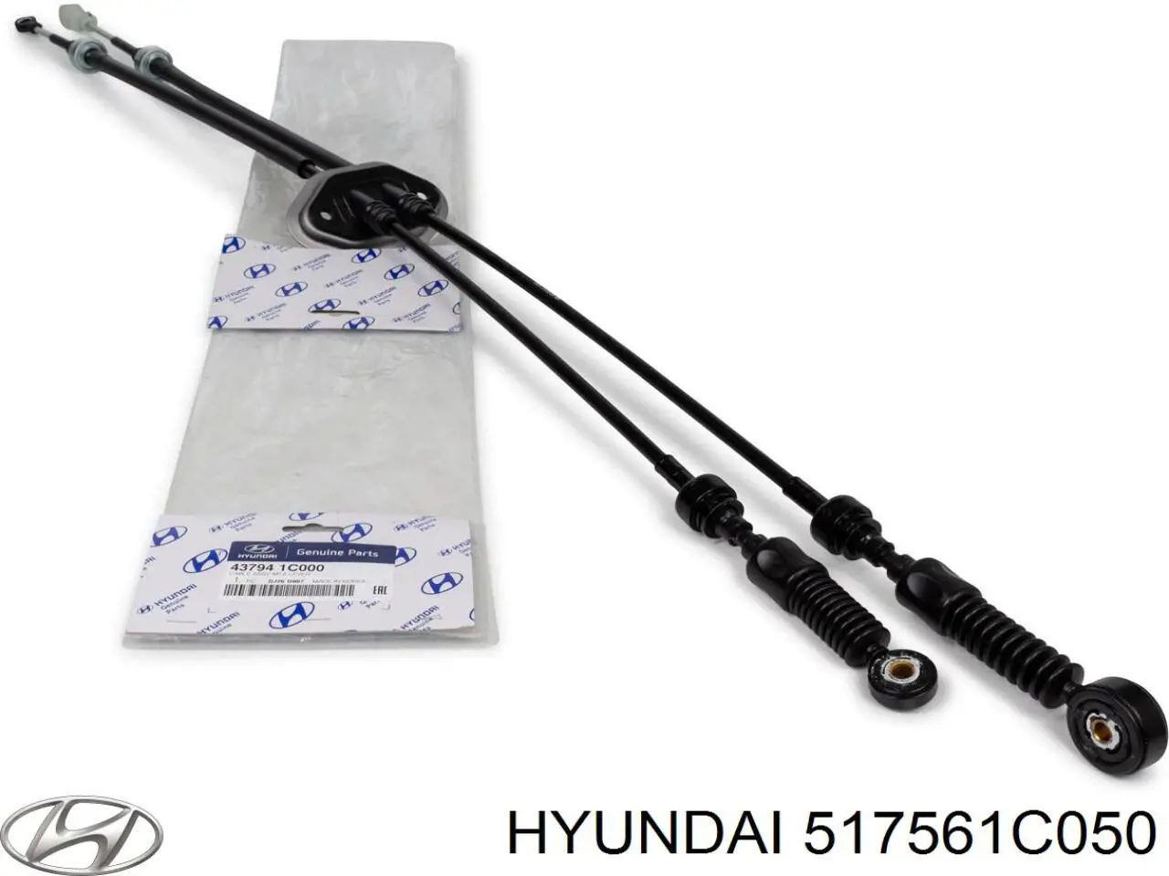 517561C050DS Hyundai/Kia Захист гальмівного диска, переднього, правого