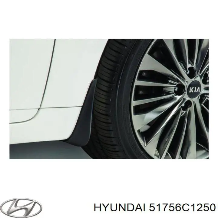 Захист гальмівного диска, переднього, правого Hyundai/Kia 51756C1250 ціна, від 12.60 USD