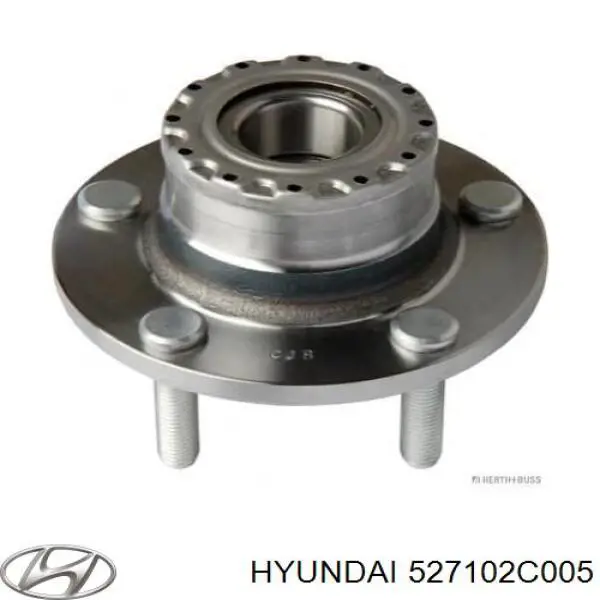 527102C005 Hyundai/Kia Маточина задня