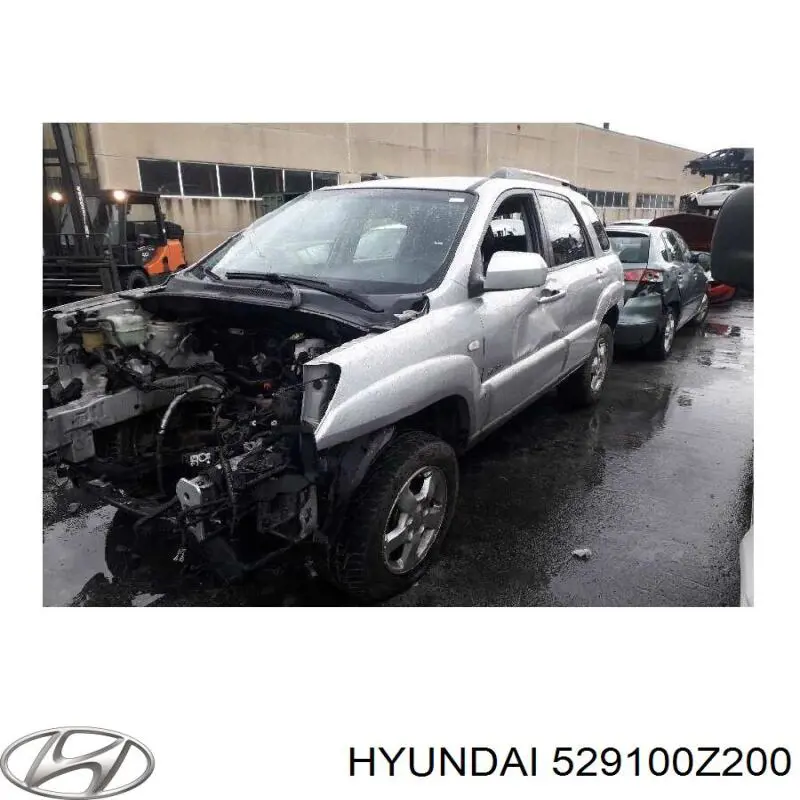 Диски колісні литі (легкосплавні, титанові) 529100Z200 Hyundai/Kia