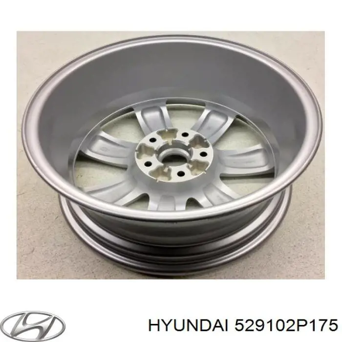  Hyundai/Kia 529102P175 ціна, від 81.70 USD
