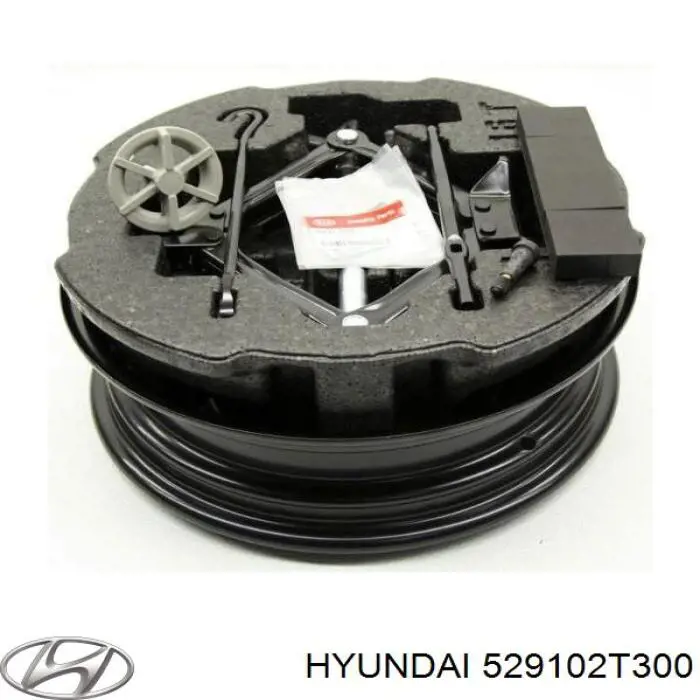 529102T300 Hyundai/Kia 