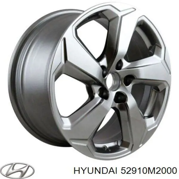 Купити 52910M2000 Hyundai/Kia 