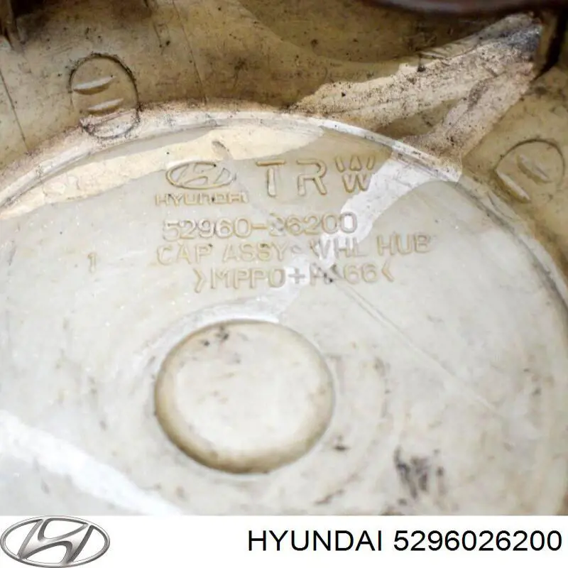  5296026200 Hyundai/Kia