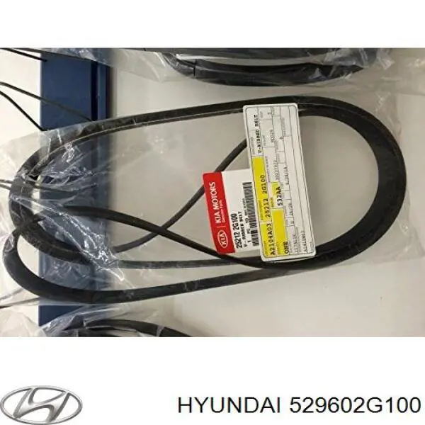 Купити 529602G100 Hyundai/Kia Автомобільні ковпаки