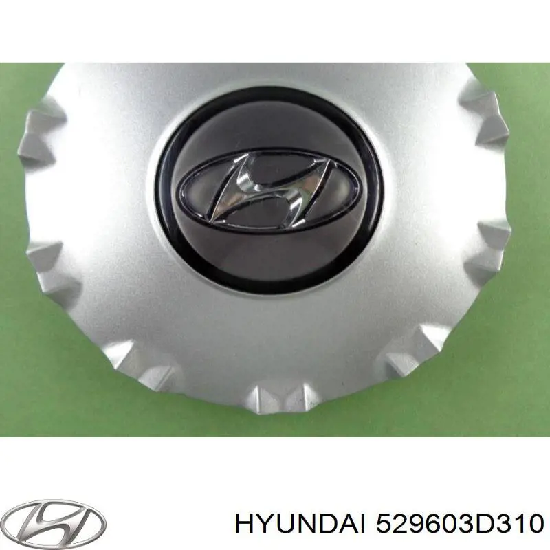 Ковпак колісного диска Hyundai Sonata (EU4) (Хендай Соната)