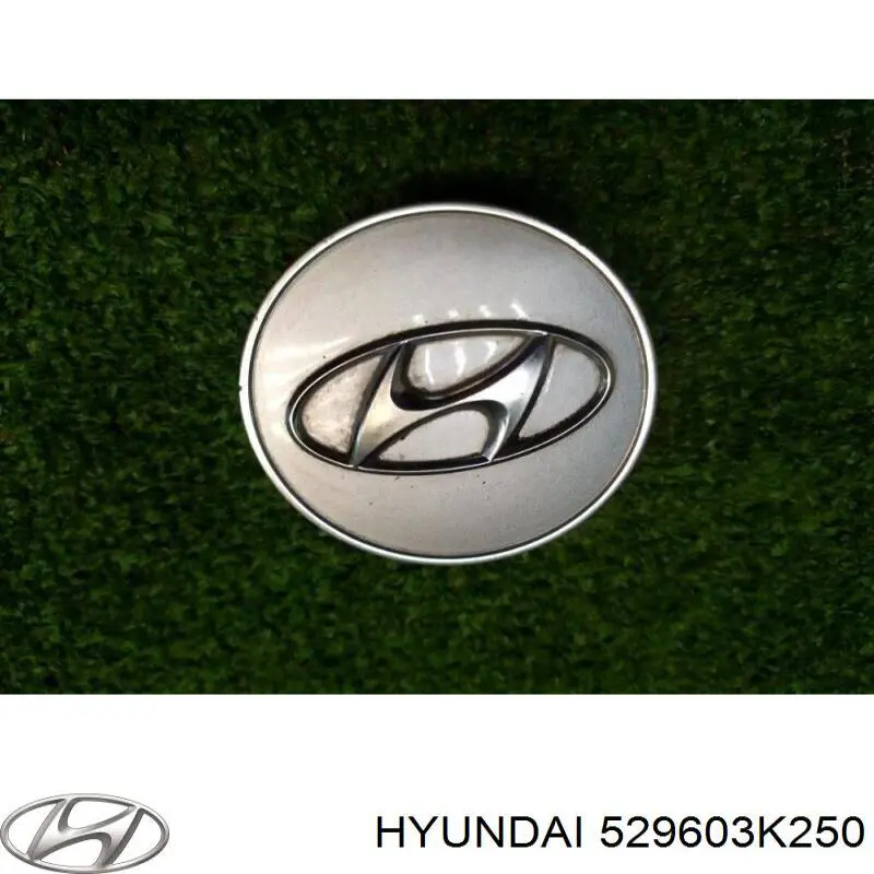 Купити 529603K250 Hyundai/Kia Автомобільні ковпаки