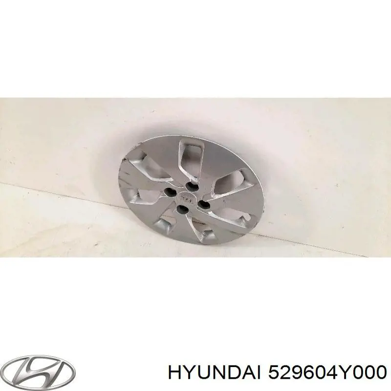 Ковпаки 529604Y000 Hyundai/Kia