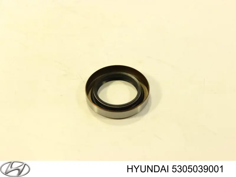 Купити 5305039001 Hyundai/Kia Сальник хвостовика