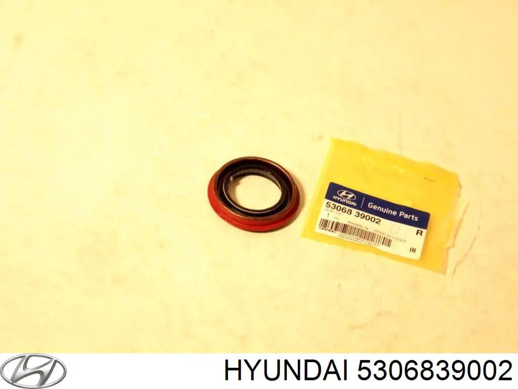 5306839002 Hyundai/Kia сальник редуктора заднього моста