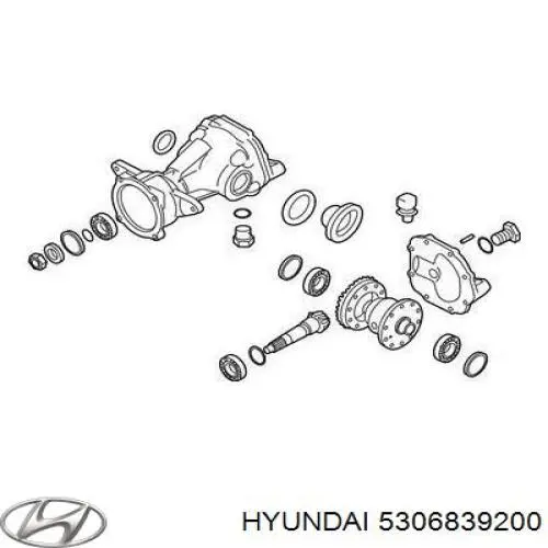 Сальник редуктора заднього моста Hyundai/Kia 5306839200 ціна, від 11.01 USD