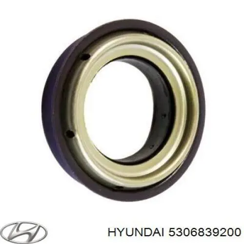 Купити 5306839200 Hyundai/Kia Сальник редуктора заднього моста