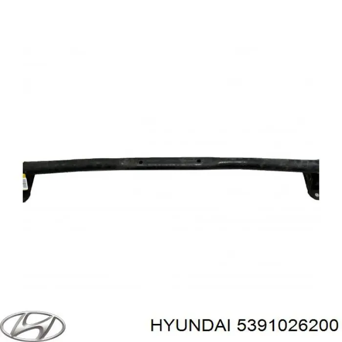  5391026200 Hyundai/Kia