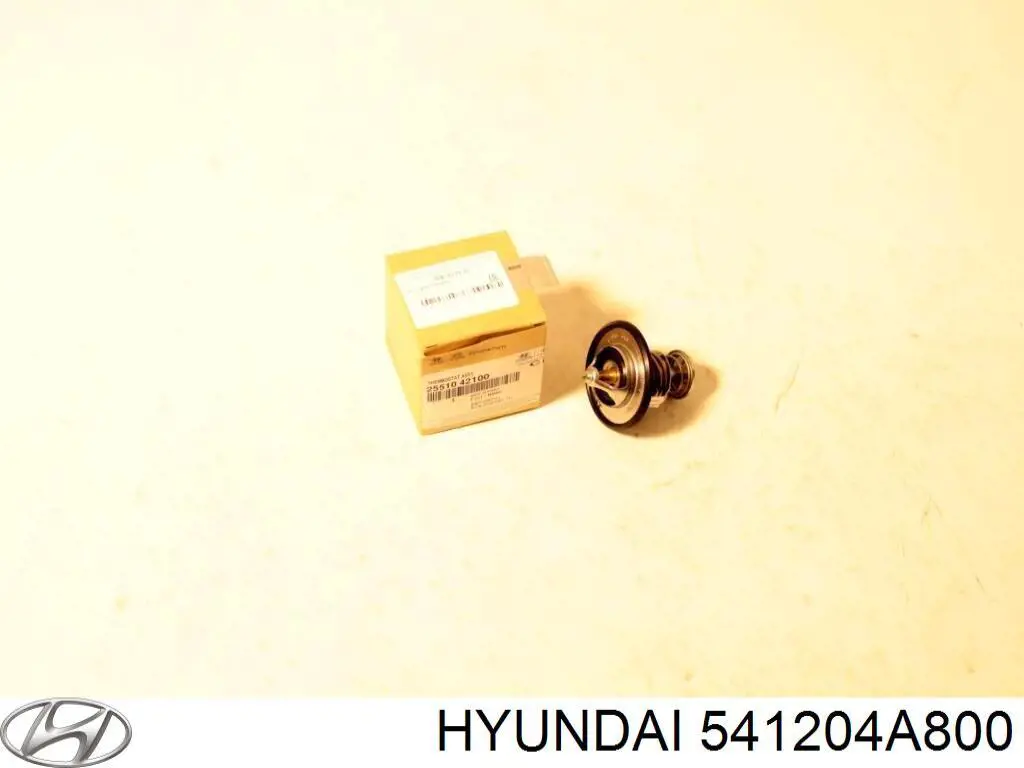 541204A800 Hyundai/Kia Торсіон передній правий