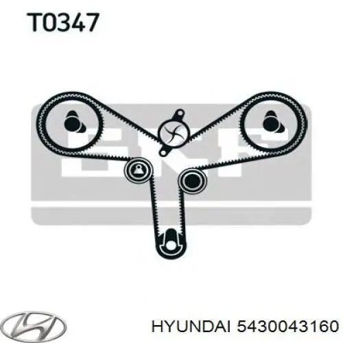 Купити 5430043160 Hyundai/Kia Амортизатор передньої підвіски