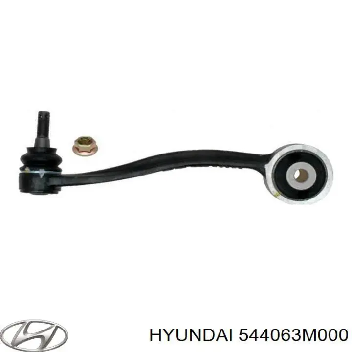 544063M000 Hyundai/Kia Важіль передньої підвіски верхній, правий