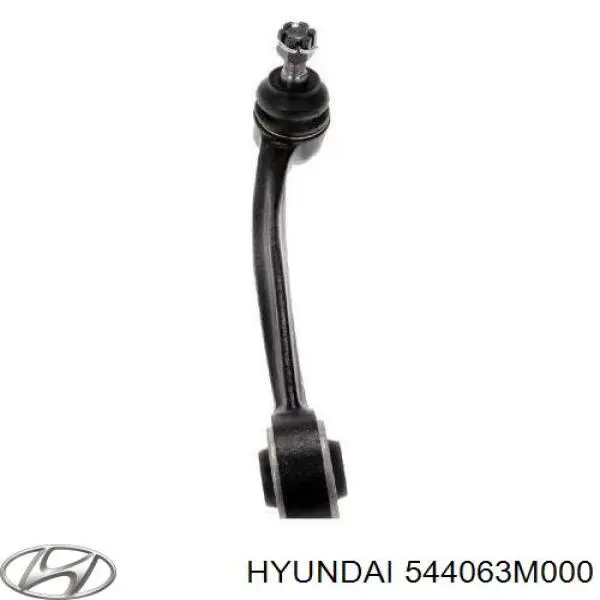 Важіль передньої підвіски верхній, правий Hyundai/Kia 544063M000 ціна, від 38.27 USD