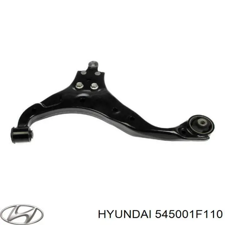 Ходова Hyundai/Kia 545001F110