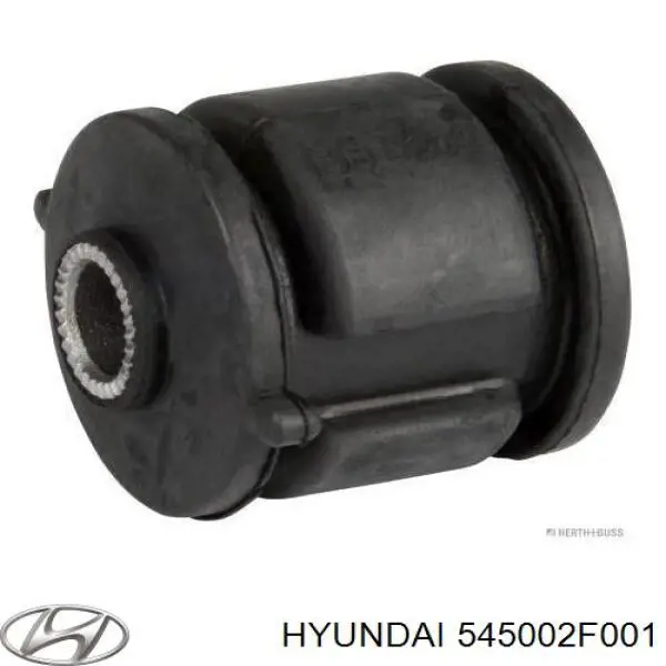 Ходова Hyundai/Kia 545002F001