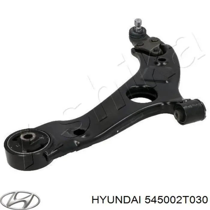 Важіль передній лівий Hyundai/Kia 545002T030 ціна, від 64.64 USD