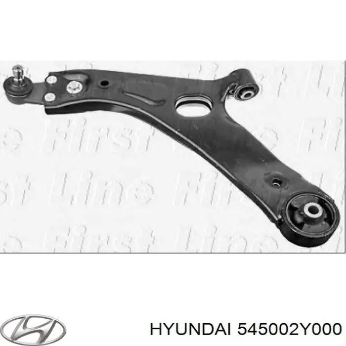 545002Y000 Hyundai/Kia Поперечний важіль