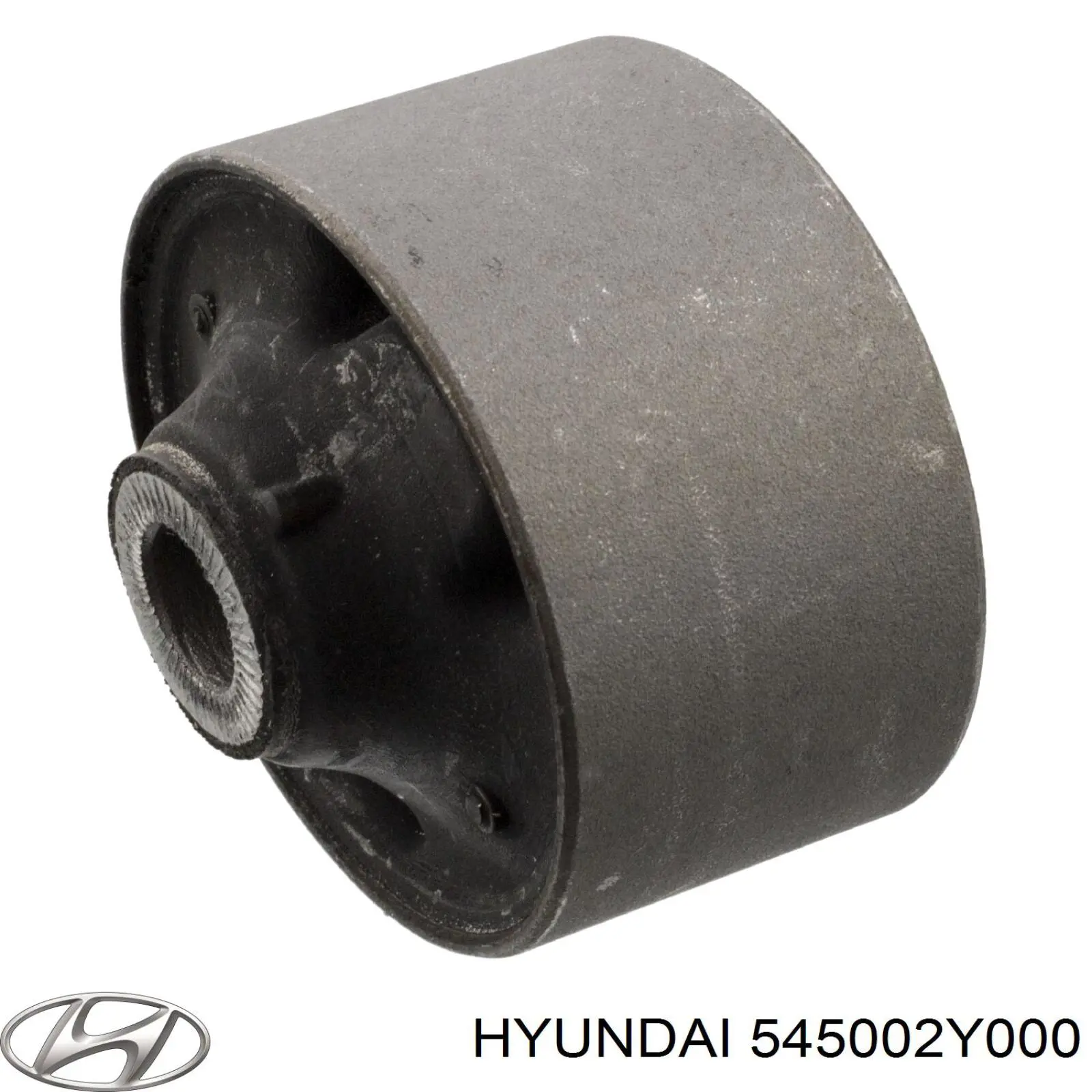Важіль передньої підвіски нижній, лівий 545002Y000 Hyundai/Kia