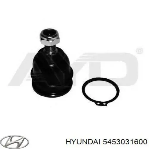 Купити 5453031600 Hyundai/Kia Кульова опора, нижня