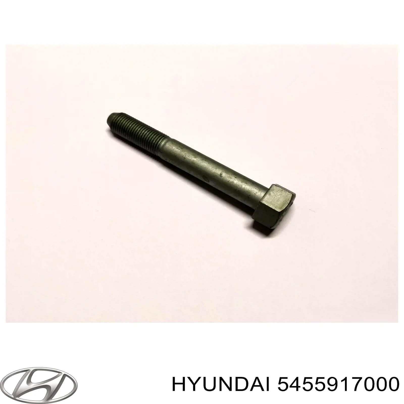 Болт переднього важеля, нижнього Hyundai/Kia 5455917000 ціна, від 11.13 USD